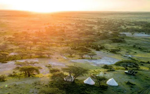 4-Day FLY-In Serengeti Migration Safari from Zanzibar gallery image