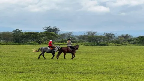 1-Day Arusha Horseback Riding gallery image