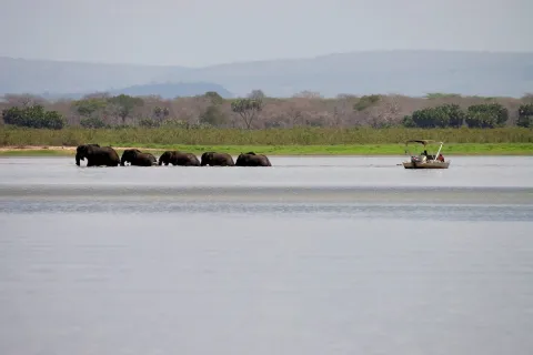 9-Day Southern Circuit Safari and Zanzibar Beach Experience gallery image