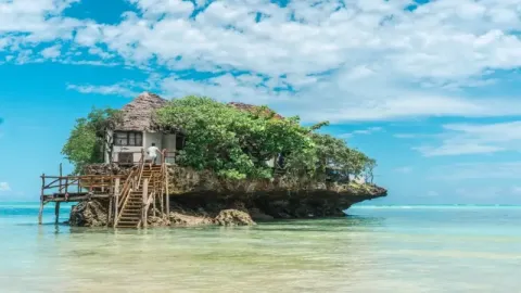 9-Day Southern Circuit Safari and Zanzibar Beach Experience gallery image