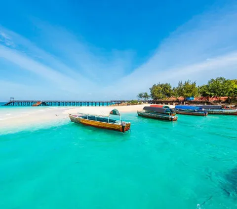 10-Day Taste of Zanzibar and Unforgettable Wildlife Safaris gallery image