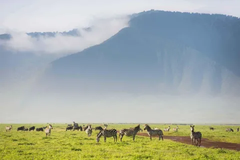 4-Day Serengeti Balloon & Ngorongoro from Zanzibar gallery image