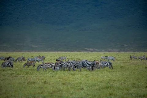 3-Day Serengeti & Ngorongoro Private Camping Safari | Best Ta gallery image
