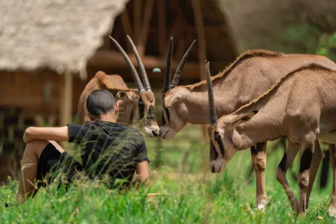 4-Day Days Tanzania Private Camping Safari | Materuni Water gallery image