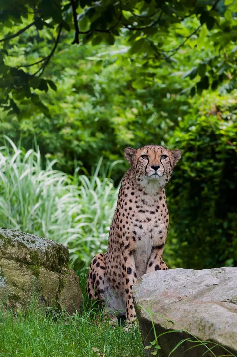 4-Day Days Tanzania Private Camping Safari | Materuni Water gallery image