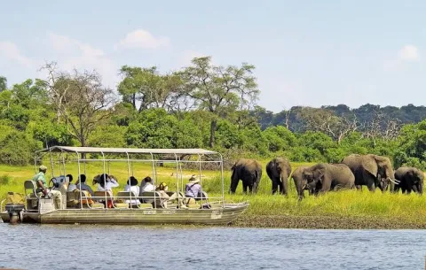 1-Day Chobe Day Full Day Safari gallery image