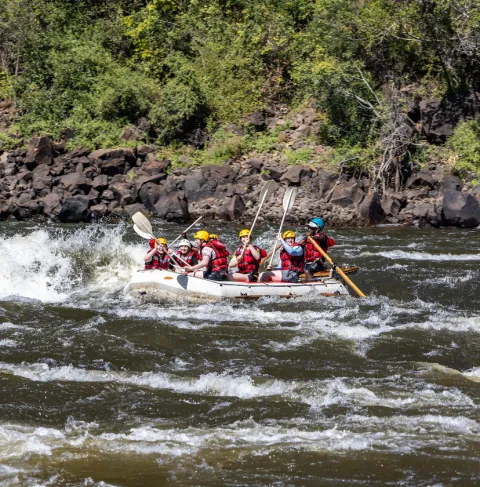 1-Day Zambezi White Water Rafting gallery image