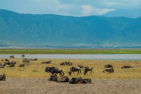 9-Day Tanzania Safari Focus on Wildlife Moments and Landscape gallery image
