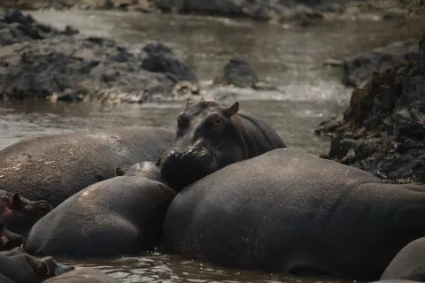 9-Day Tanzania Safari Focus on Wildlife Moments and Landscape gallery image