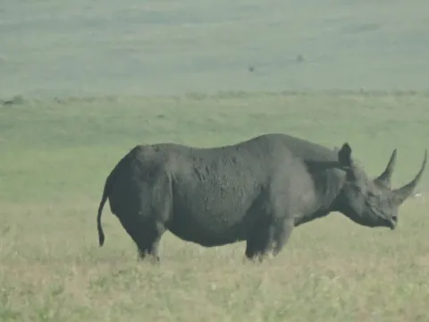 9-Day Serengeti, Ngorongoro & Balloon Safari Tanzania gallery image
