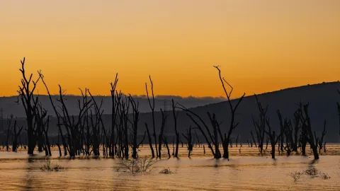 4-Day Maasai Mara & Nakuru Mid-Range Safari gallery image