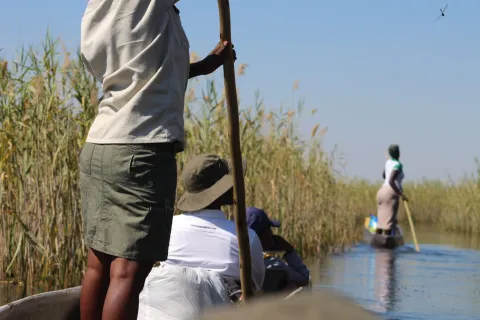 3-Day Okavango Delta Mokoro Stargazing Safari gallery image