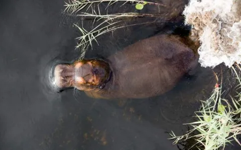 7-Day Classic Botswana: Savuti, Khwai & Okavango Delta gallery image