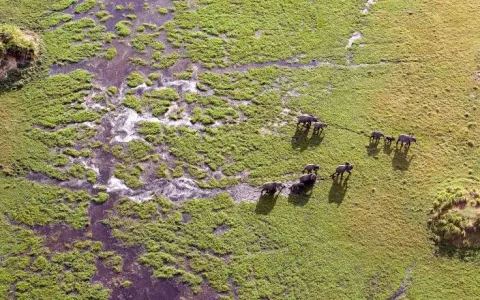 9-Day Classic Victoria Falls gallery image