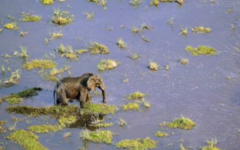 7-Day Classic Botswana: Savuti, Khwai & Okavango Delta gallery image