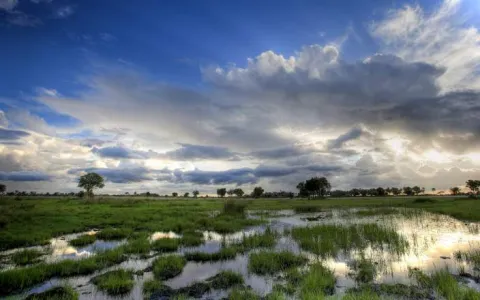 7-Day Delight Khwai, Mababe & Okavango Delta gallery image