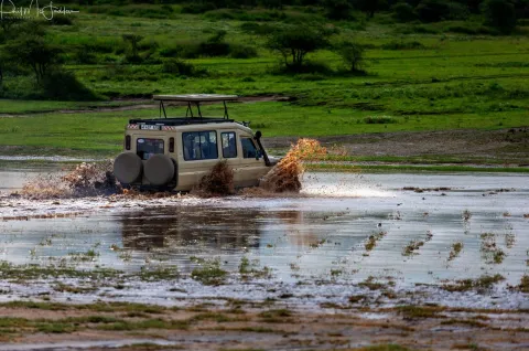 3-Day Ultimate Group Midrange Safari Adventure gallery image
