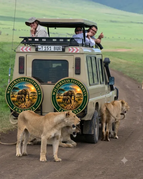 5-Day Tanzania Classic Safari gallery image