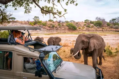 6-Day Tanzania Big Five Safari gallery image