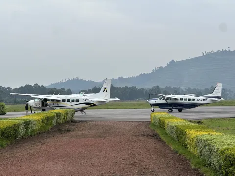 4-Day Fly in Gorilla Safari gallery image