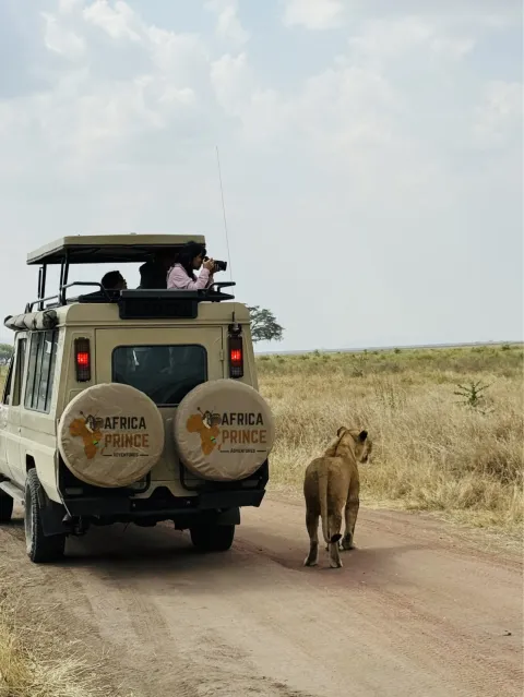 5-Day Camping Safari North Tanzania gallery image