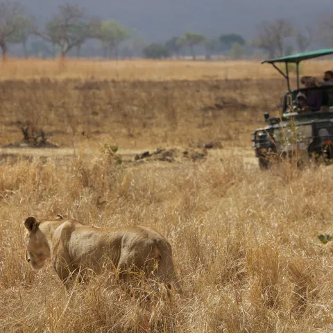 5-Day Southern River & Plains Luxury Safari: Nyerere & Mikumi gallery image
