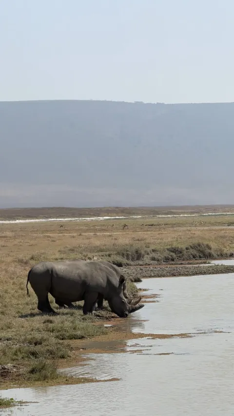 6-Day Tanzania Classic Safari gallery image