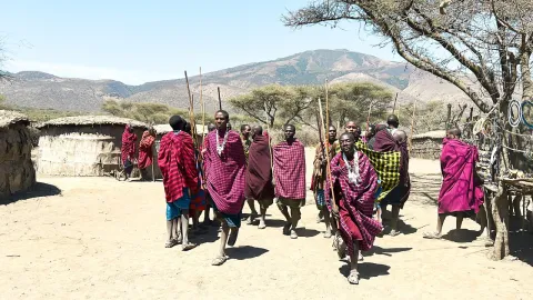 12-Day Northern Tanzania Circuit and Zanzibar gallery image