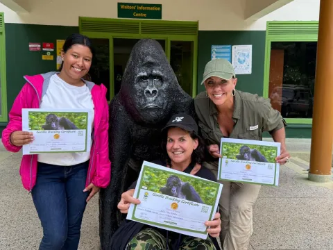 3-Day Gorilla Tracking Bwindi gallery image