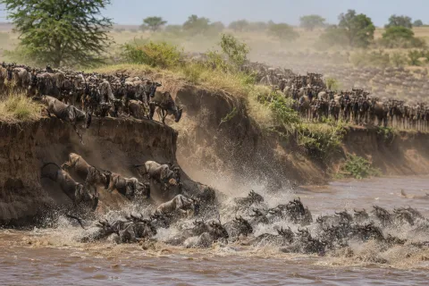 13-Day Kenya & Tanzania- Big Five & Samburu Special Safari Pac gallery image