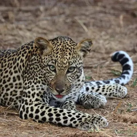15-Day Kenya Small Group Safari gallery image