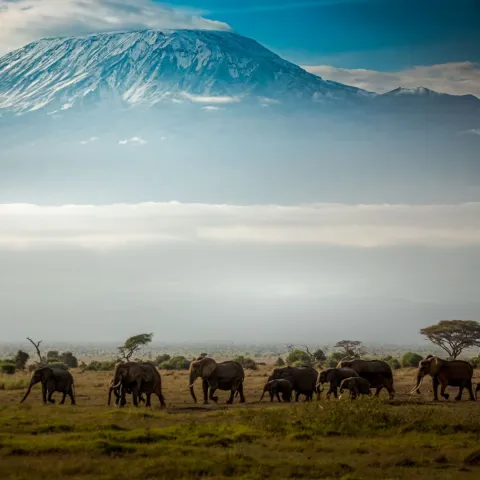 8-Day Kenya Small Group Tour gallery image