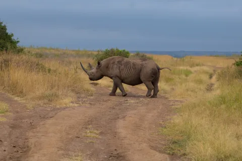 8-Day Kenya Small Group Tour gallery image