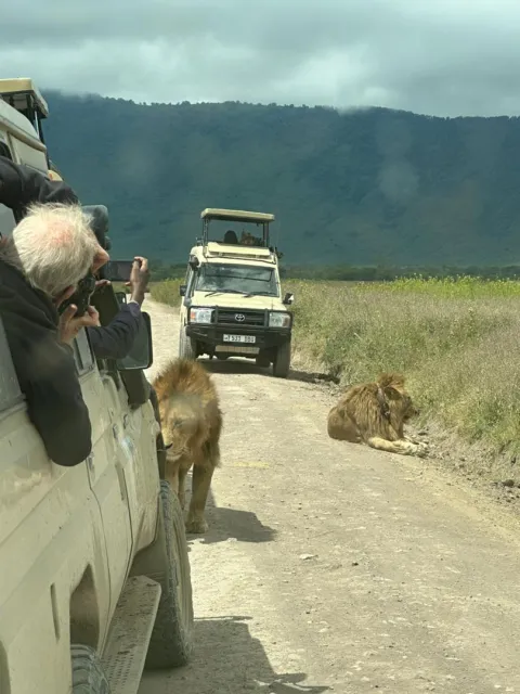 3-Day Serengeti National Park and Ngorongoro Crater gallery image