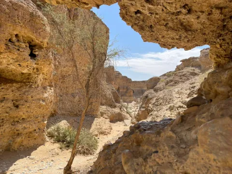 3-Day Namib Desert, Sossusvlei and Deadvlei Escape gallery image