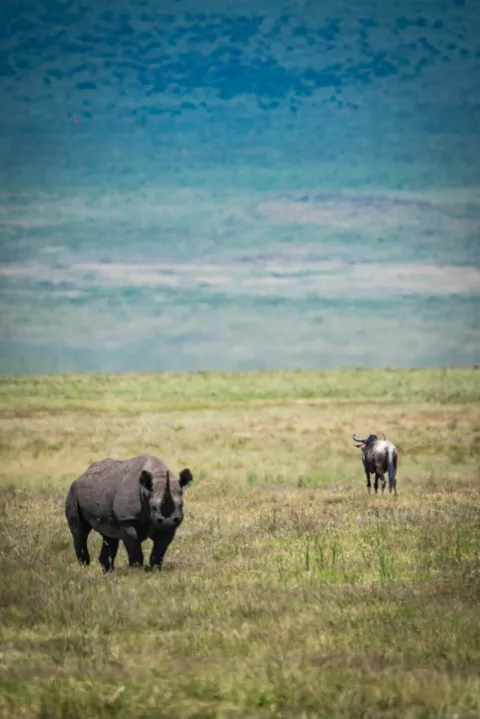 2-Day Tarangire & Ngorongoro Ctrater Two Days Safari gallery image