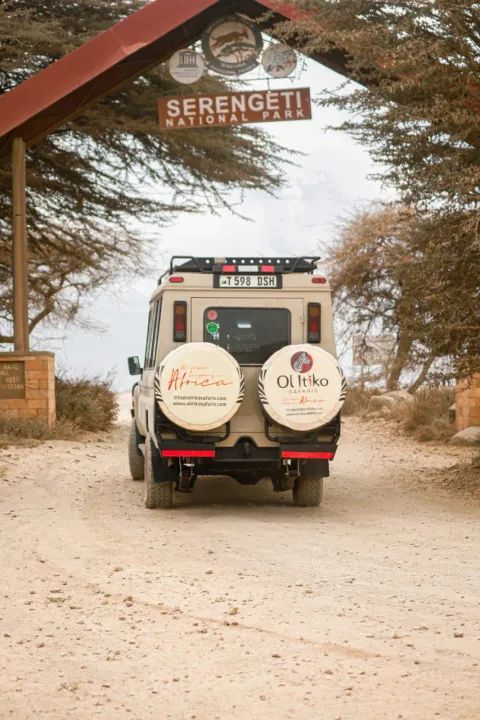 5-Day Luxury Serengeti Fly-In Safari to Big Five Adventure gallery image