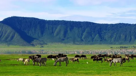 2-Day Tarangire & Ngorongoro Crater Wildlife Safari gallery image