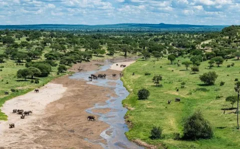 2-Day Tarangire & Ngorongoro Crater Wildlife Safari gallery image