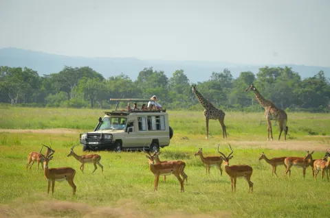 4-Day Tarangire, Serengeti and Ngorongoro Crater Safari gallery image