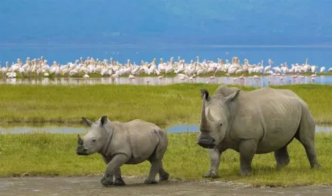 2-Day Tarangire & Ngorongoro Crater Safari From Zanzibar gallery image