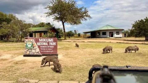 1-Day Mikumi National Park Day Trip. gallery image