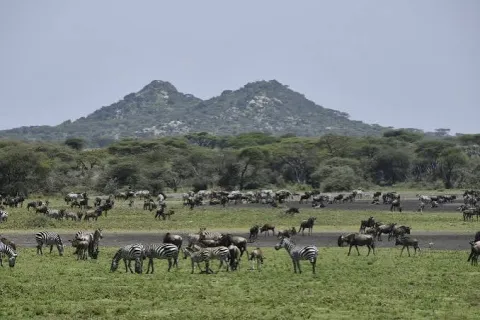 4-Day Mid-Range to Calving, Crater and Tarangire Safari gallery image