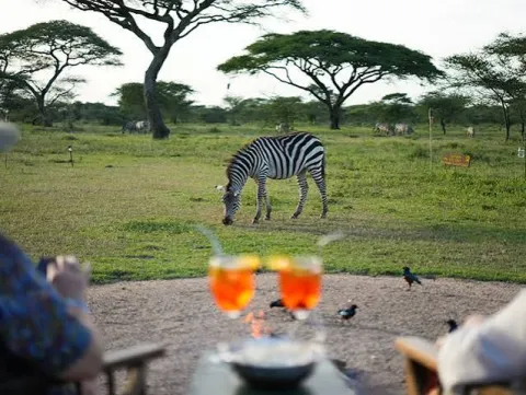4-Day Mid-Range to Calving, Crater and Tarangire Safari gallery image