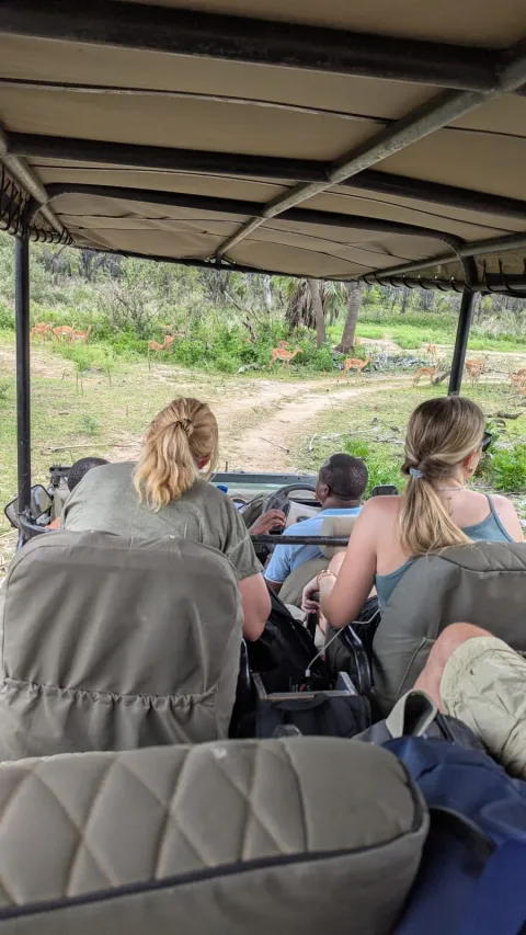 1-Day Mikumi National Park Safari from Zanzibar gallery image