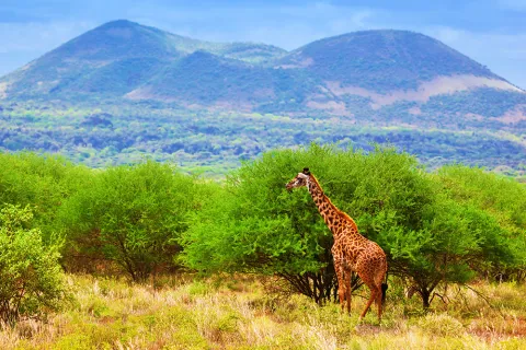 6-Day Serengeti, Tarangire, Ngorongoro Crater gallery image