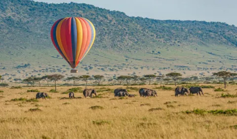 5-Day Best Maasai Mara, Naivasha & Amboseli Safari gallery image