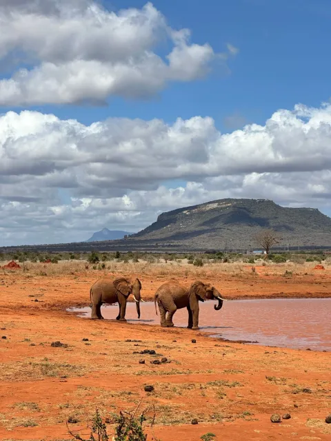 4-Day Budget Safari – Amboseli & Tsavo West gallery image
