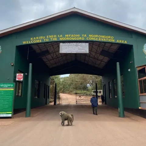 2-Day Giants, Landscapes & Crater Wildlife gallery image