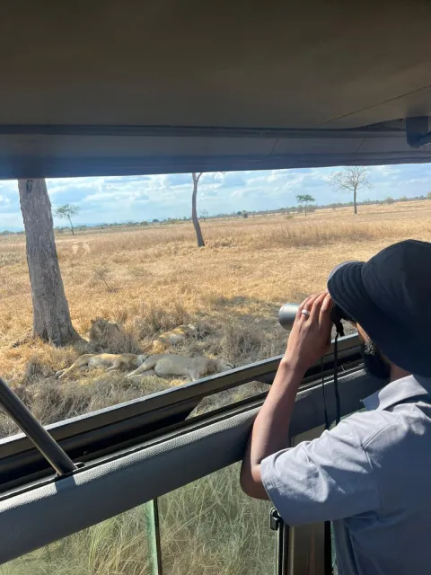 1-Day Safari from Zanzibar to Mikumi National Park gallery image